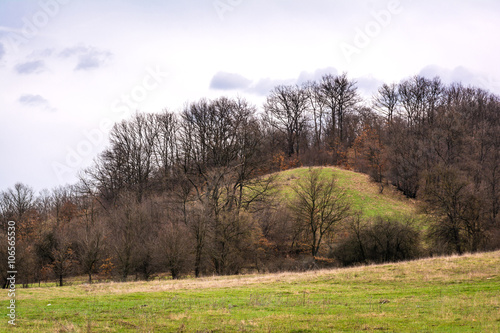 Beautiful forest, meadows and trees in the spring, Bulgaria