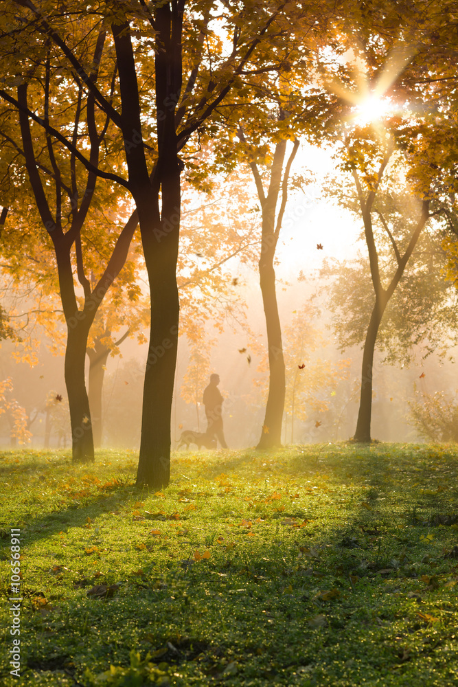 Autumn walk. Autumn walk.