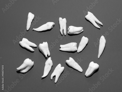 extracted teeth