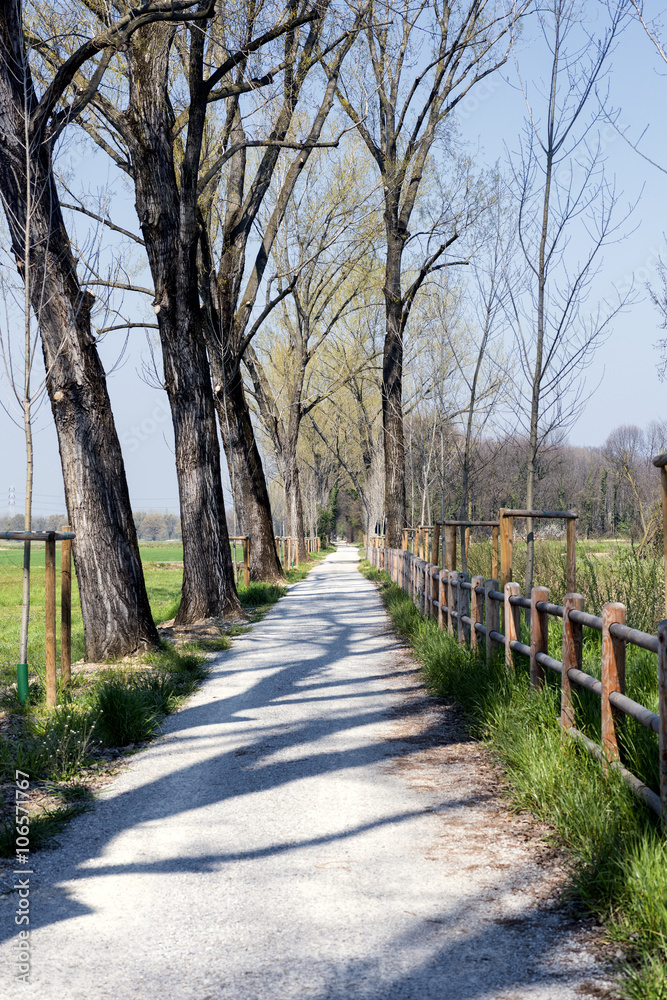 Path for bicycles and pedestrian near Milan