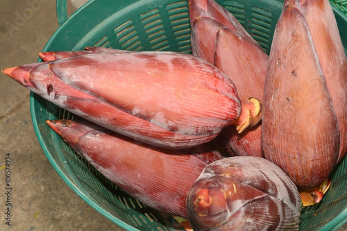 banana blossom photo