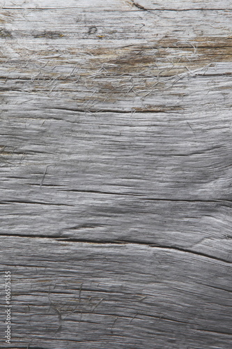 Grey wood texture with natural patterns background. This is drift wood log washed up at beach