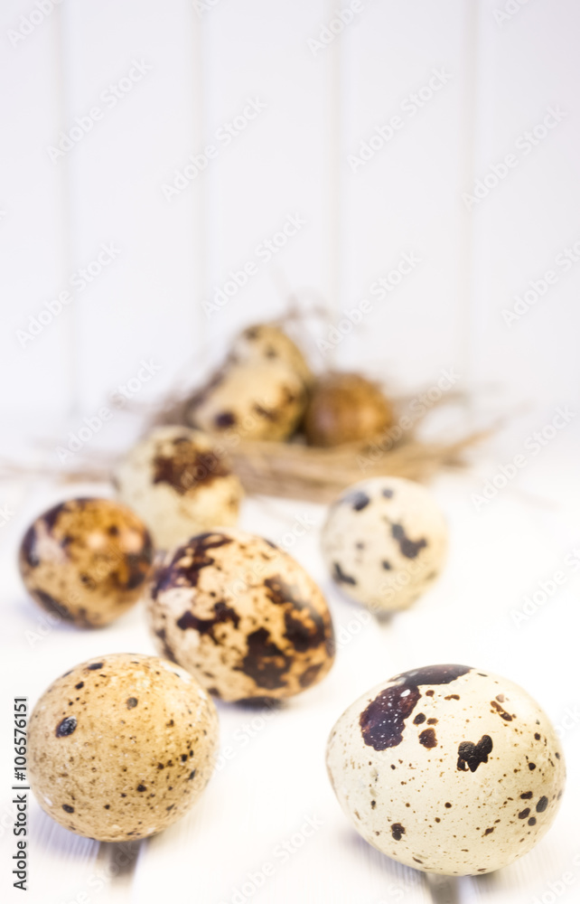 Fototapeta premium Quail eggs