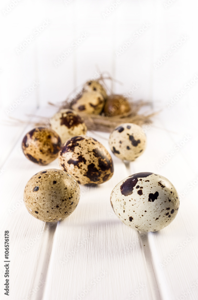 Obraz premium Quail eggs
