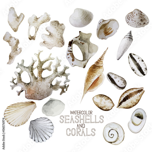 Collection of  watercolor seashells and corals