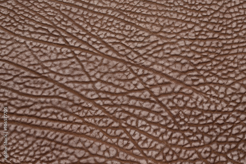 Fototapeta premium brown cow structure leather full background