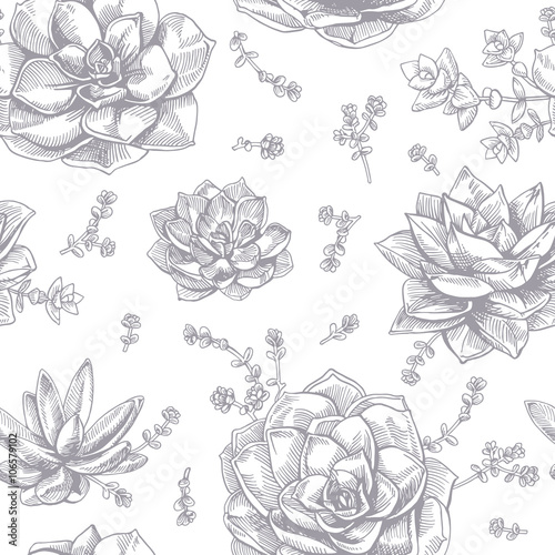 Hand-drawing ink succulents. Seamless pattern.
