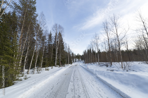 Rural Road in Winter