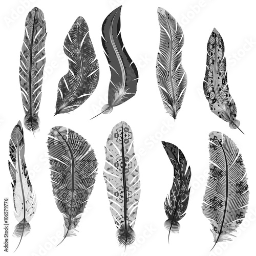 Vector set of feathers