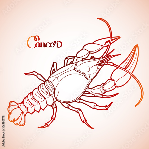 Graphic vector cancer