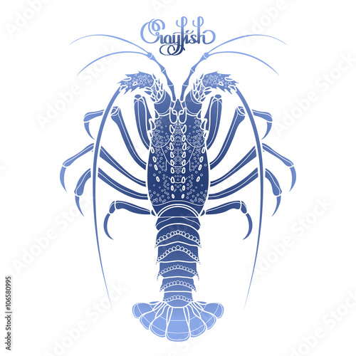 Graphic vector crayfish