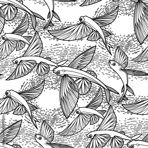 Fotografia Graphic flying fish pattern