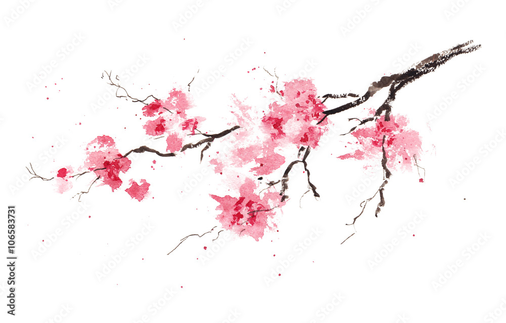 Obraz premium Sakura branch. Original watercolor painting.