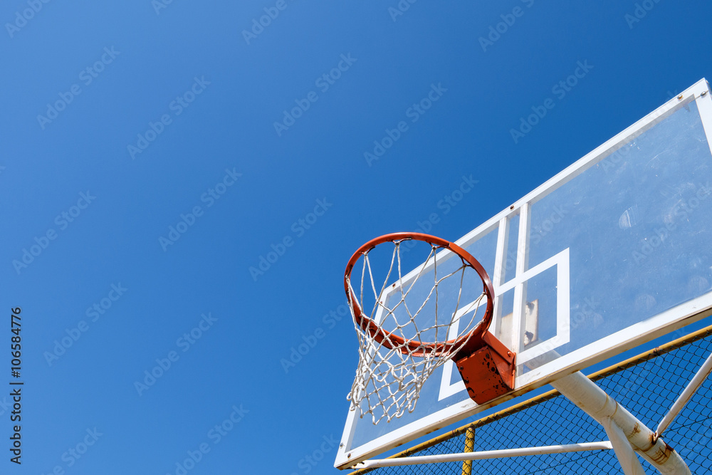 Basketball nest Basketball nest