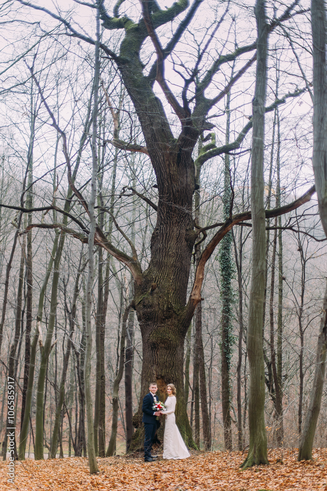 Beautiful young wedding couple posing near the big leafless tree in autumn forest. Beautiful young wedding couple posing near the big leafless tree in autumn forest.