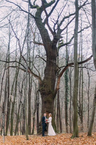 Beautiful young wedding couple posing near the big leafless tree in autumn forest.