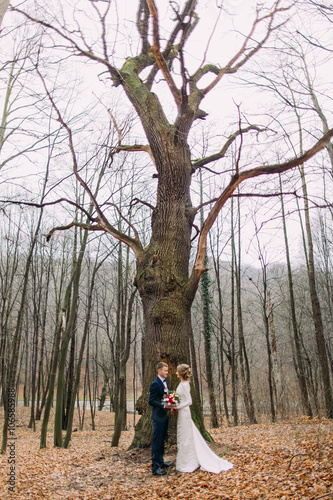 Beautiful young wedding couple holding hands near the big leafless tree in autumn forest. photo