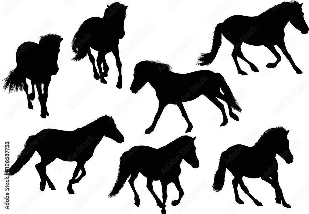 seven running black horses on white