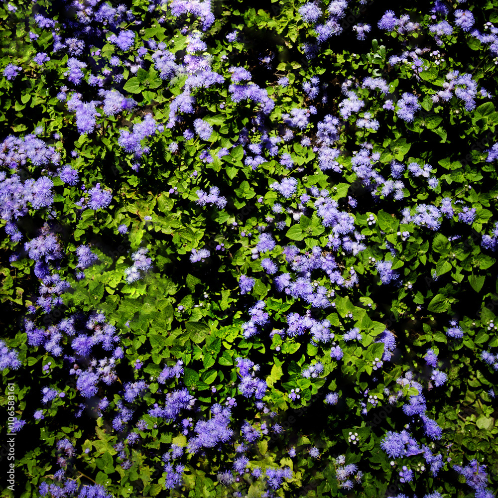 Naklejka premium Purple world