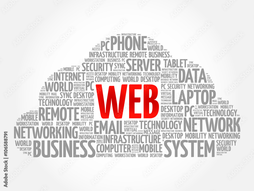 Obraz premium WEB word cloud concept