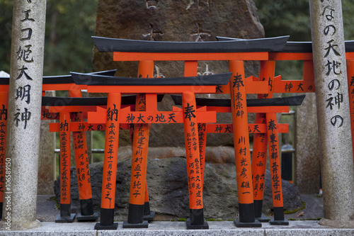 the famous red tori gate in Fushimi Inari Shrine, Kyoto. photo