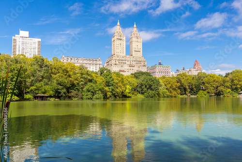 summer landscape in the Central park, New York, USA