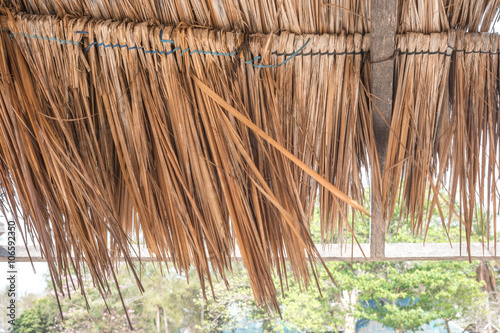 Quadro su tela Thatched roof