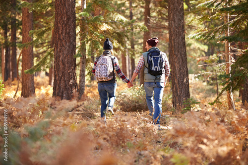 Couple holding hands walking in a forest, back view, USA © Monkey Business