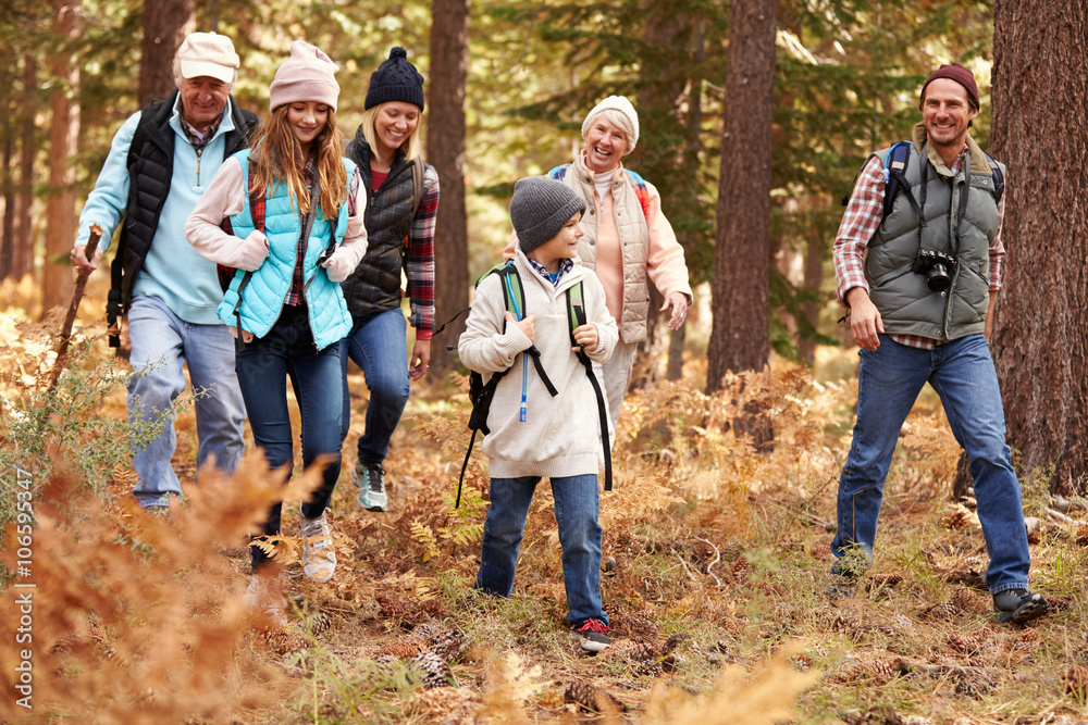 Multi generation family hiking in a forest, California, USA