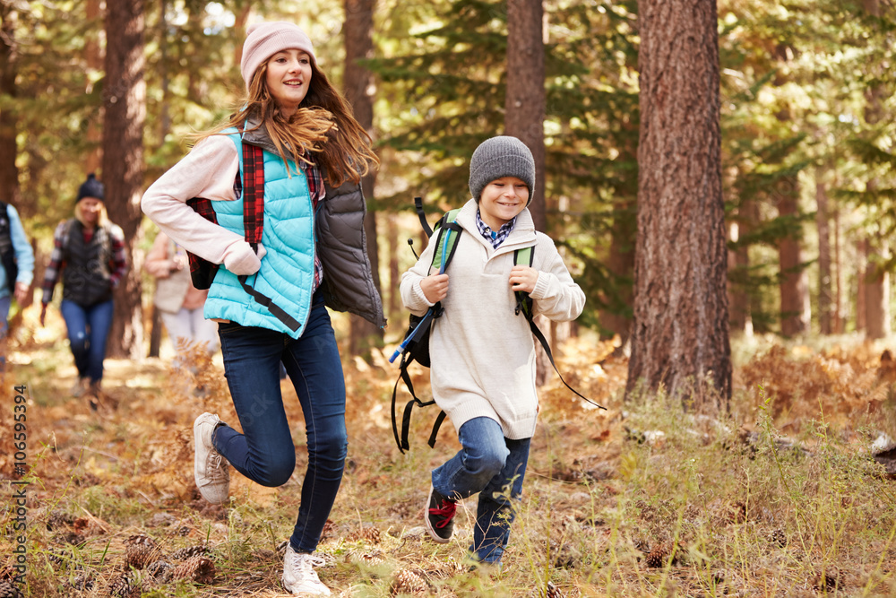 Fototapeta premium Kids run ahead of family hiking in forest, California, USA