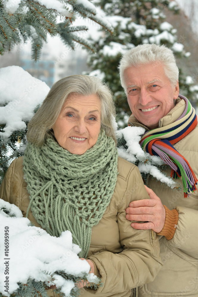 senior couple at winter outdoors senior couple at winter outdoors
