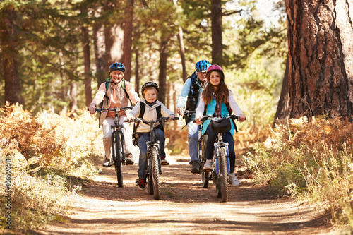 Grandparents and kids cycling on forest trail, California