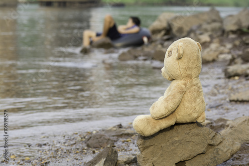 teddy sitting on the rocks by the river .