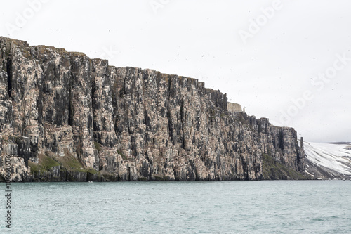 Alkefjellet bird cliff, Hinlopenstretet, Svalbard, Arctic. photo