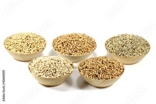 Getreidekörner (Dinkel, Hafer, Roggen, Gerste, Weizen) in Holzschalen isoliert auf weißem Hintergrund