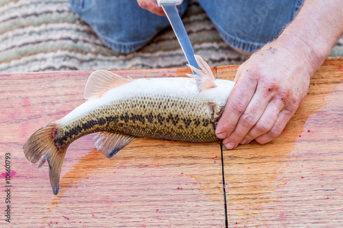 Photography Man prepares fish fillets