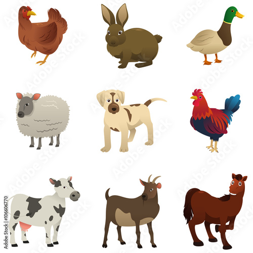Fototapeta Naklejka Na Ścianę i Meble -  Farm Animal Icons