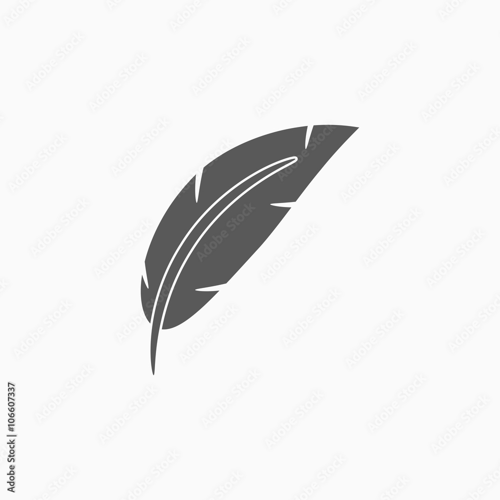 feather icon feather icon