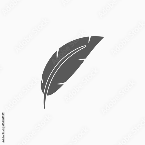 feather icon