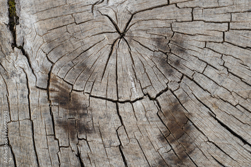 Macro wood texture on old city pavement