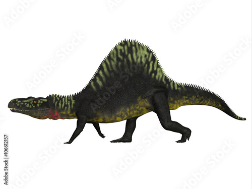 Arizonasaurus Side Profile - Arizonasaurus was a sailback carnivorous archosaur that lived in Arizona, North America in the Triassic Period. © Catmando