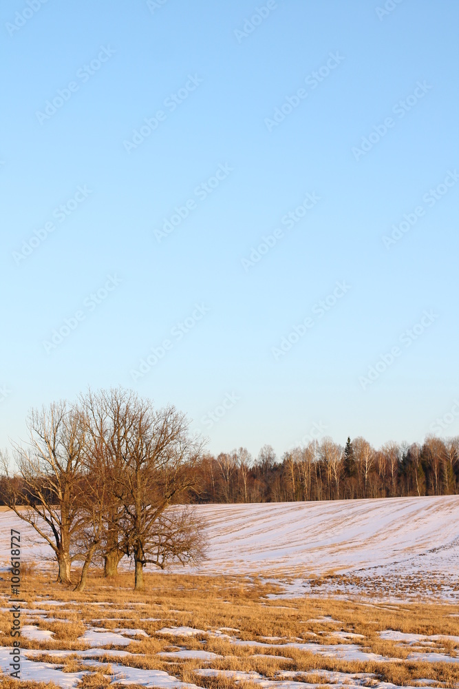 landscape, early spring