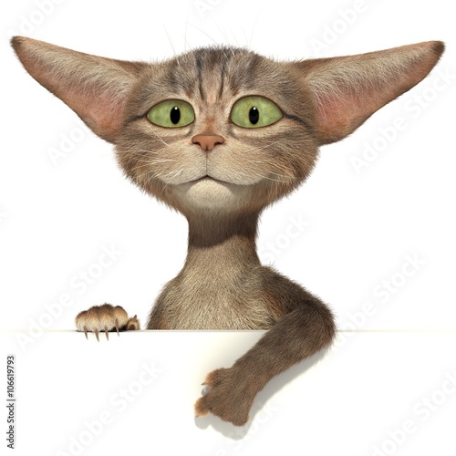 Fototapeta Naklejka Na Ścianę i Meble -  Fluffy cat points a paw at the empty wall for your text. 3d image. Isolated white background.