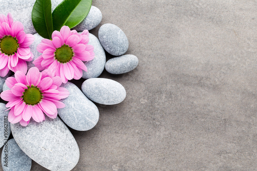 Spa stones and flowers on grey background.