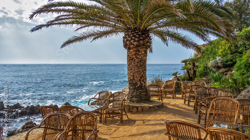 Coffee tables under a palm tree on the beach