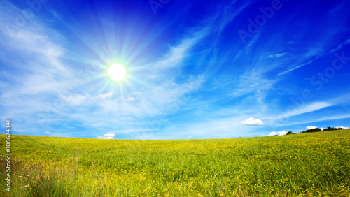 Fototapeta Naklejka Na Ścianę i Meble -  Sunset in German summer meadow.