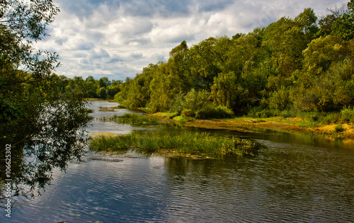 Fototapeta Naklejka Na Ścianę i Meble -  summer landscape with forest river