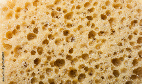 Surface of sponge for textured background