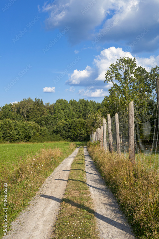 View of a path with a fence in the green countryside in Sweden View of a path with a fence in the green countryside in Sweden
