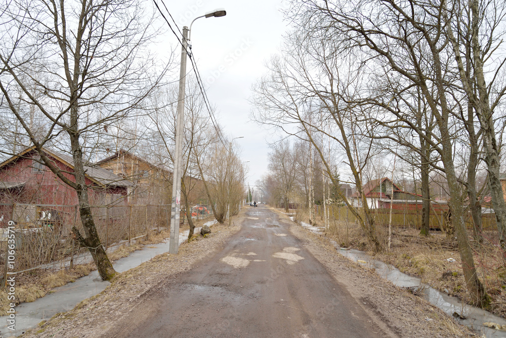 Street in the village of Petro-Slavyanka in early spring.